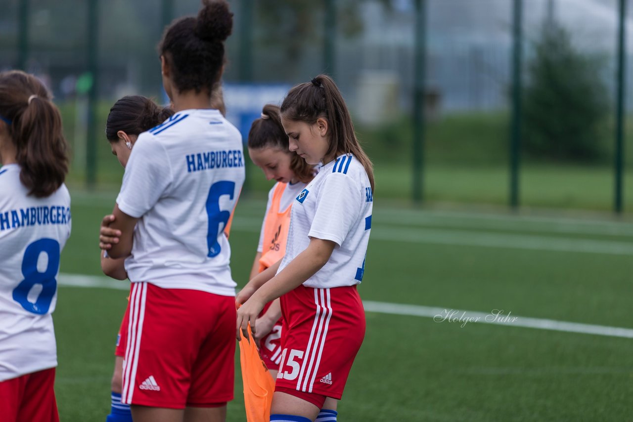 Bild 190 - C-Juniorinnen HSV - Walddoerfer : Ergebnis: 9:1